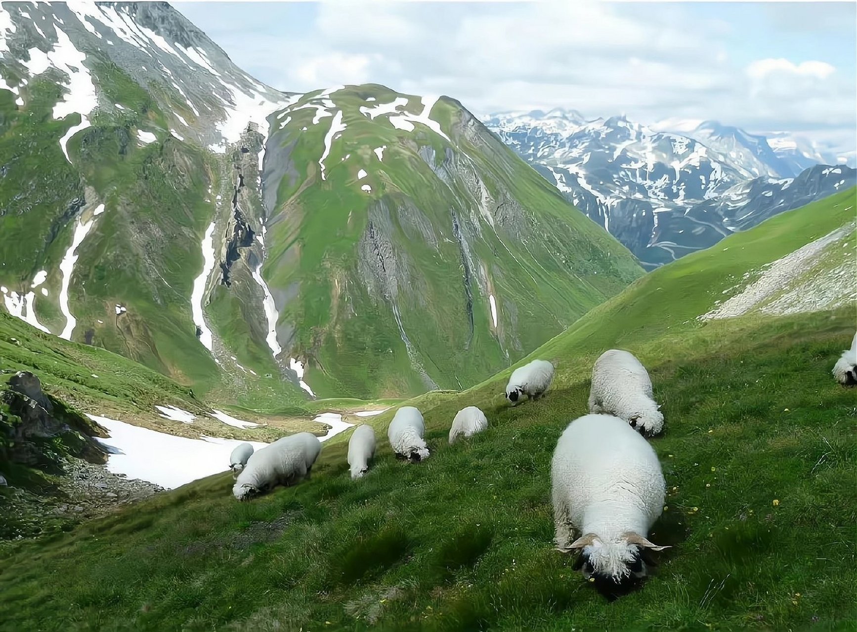 绿色系ipad电脑壁纸～ 676767