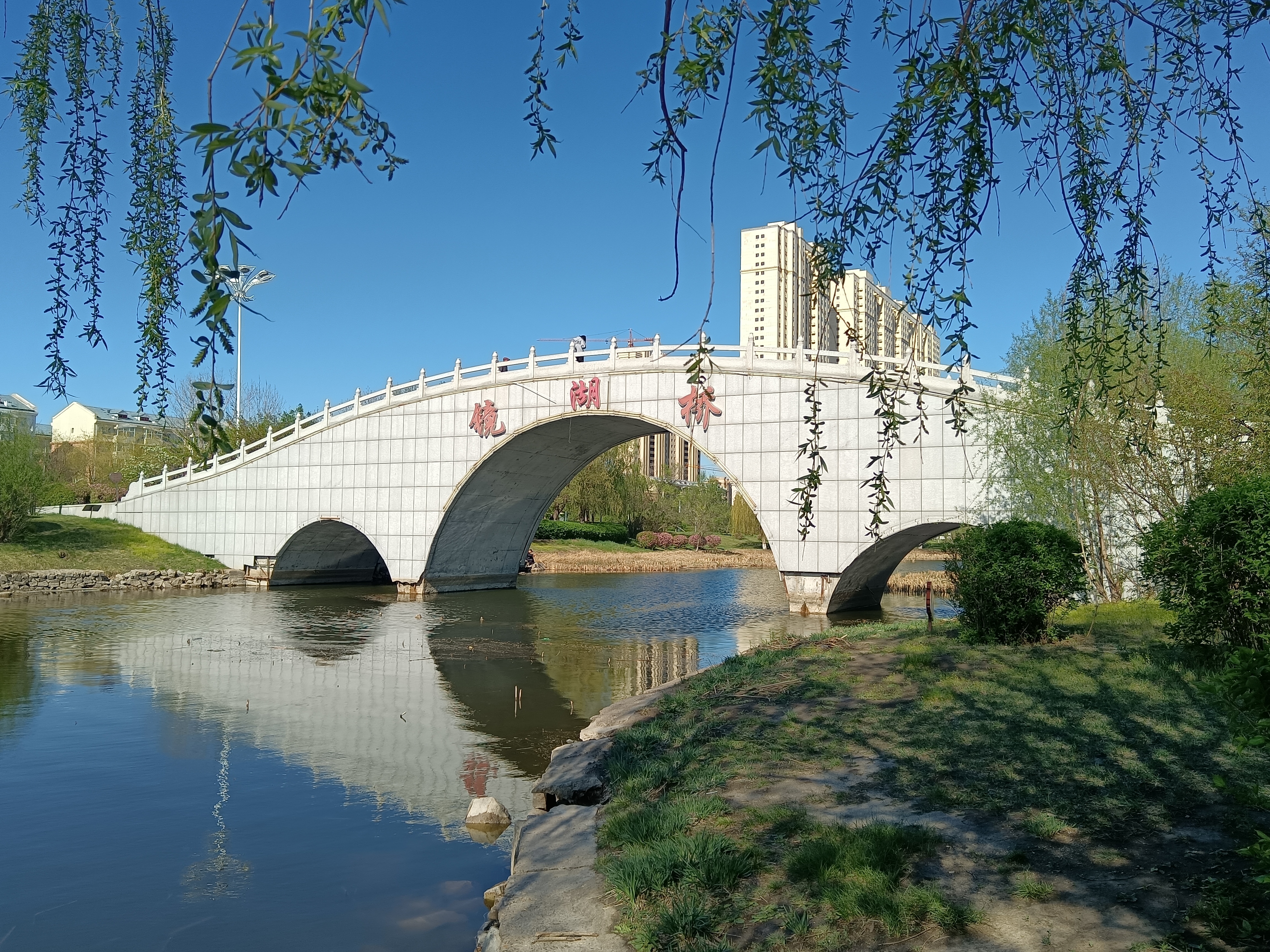 被人称为臭水泡子的镜湖公园,到底美在哪里?