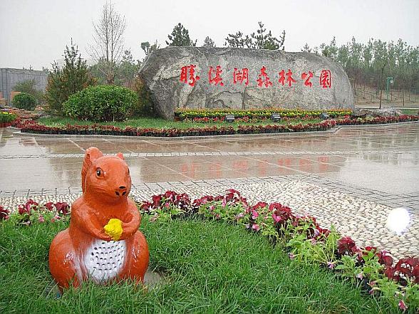 大型综合性公园—胜溪湖森林公园