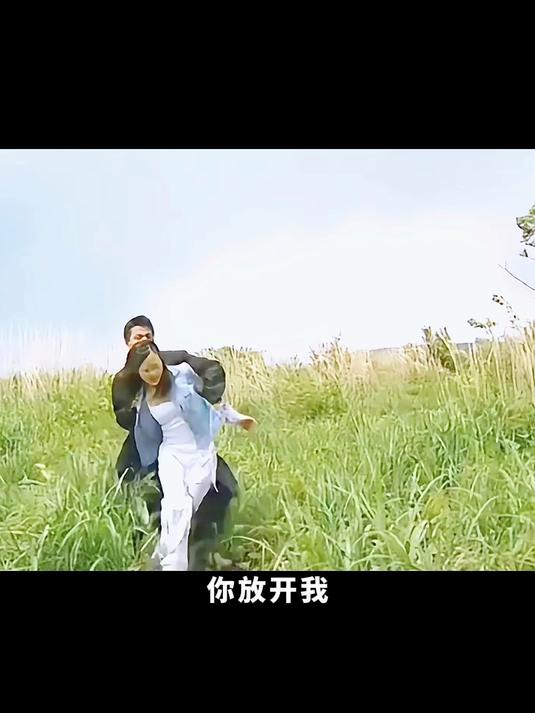 愤怒的蝴蝶1集横屏