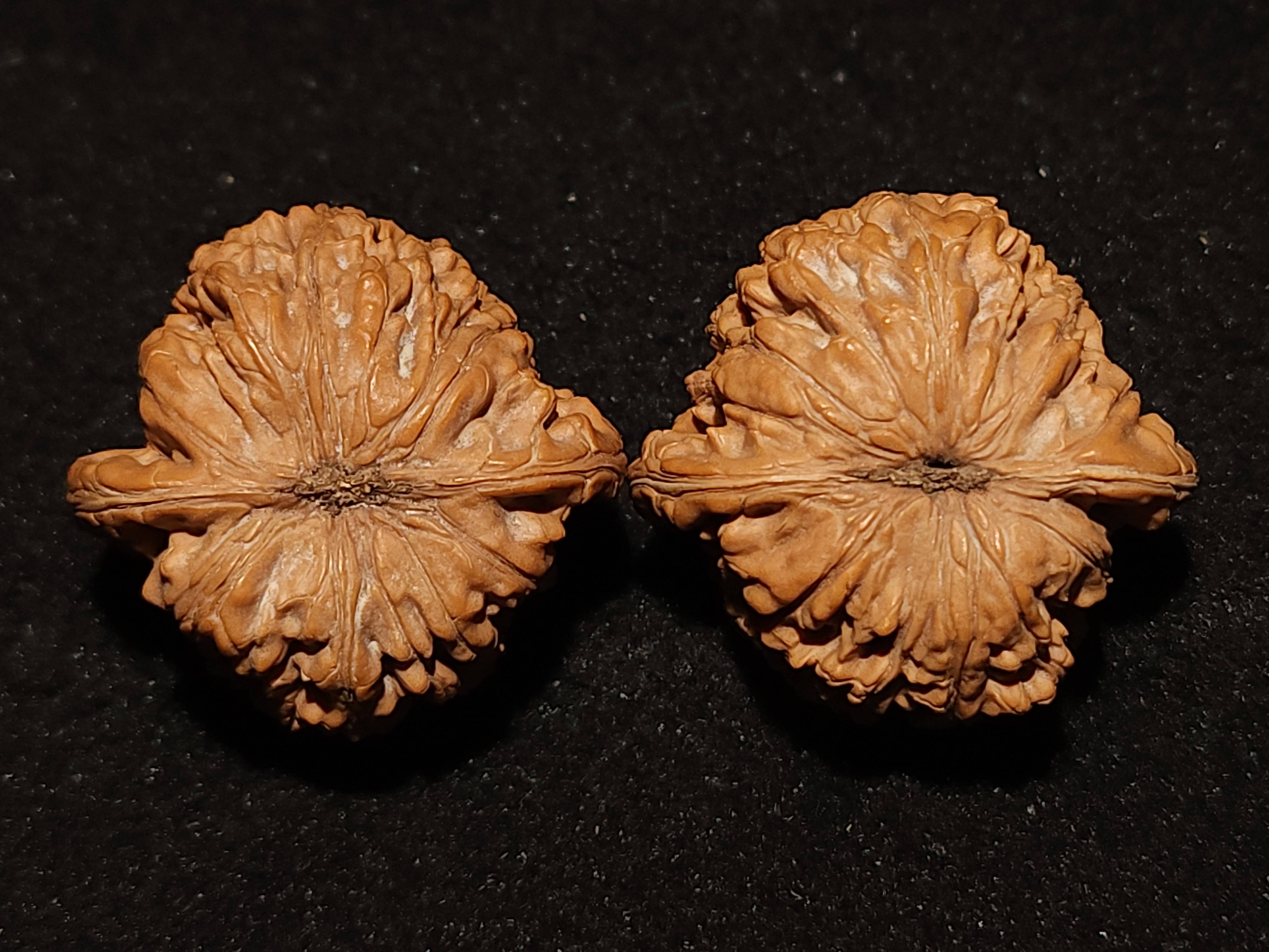 小众核桃云龙纹公子帽