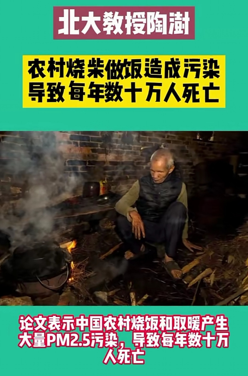 北大教授陶澍:农村烧柴做饭造成污染导致每年数十万人死亡.