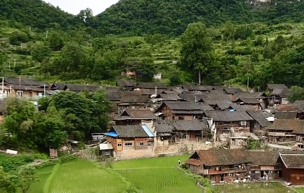 偏远山区有一个"爬行村",全村人都不会正常走路,有点不可思议