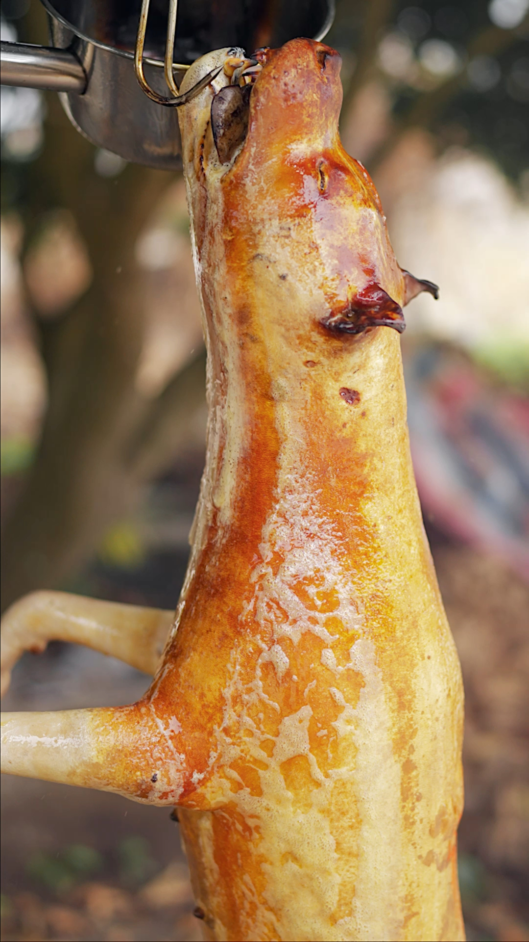 正宗玉林脆皮狗肉