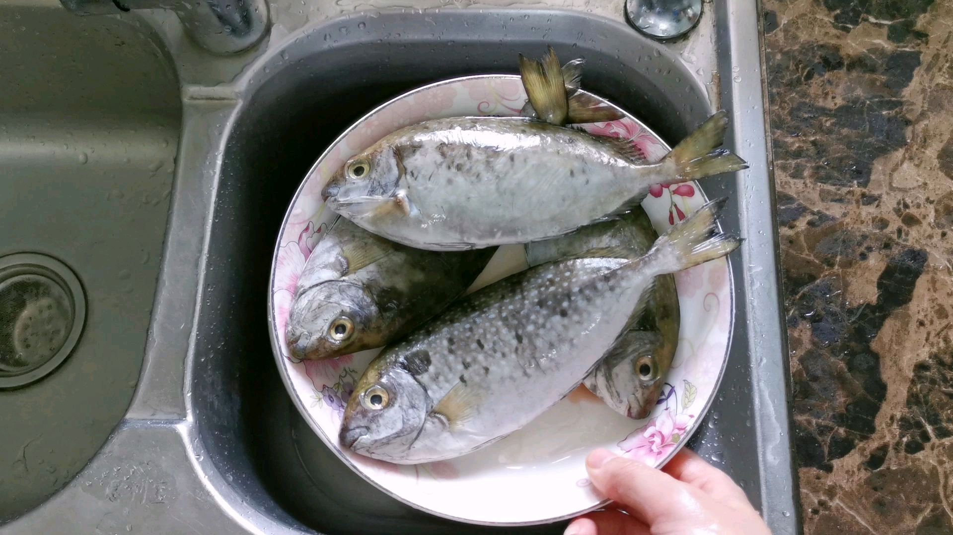 12元一斤,花25元买了四条泥猛鱼,大家觉得贵吗?简单香煎,好香