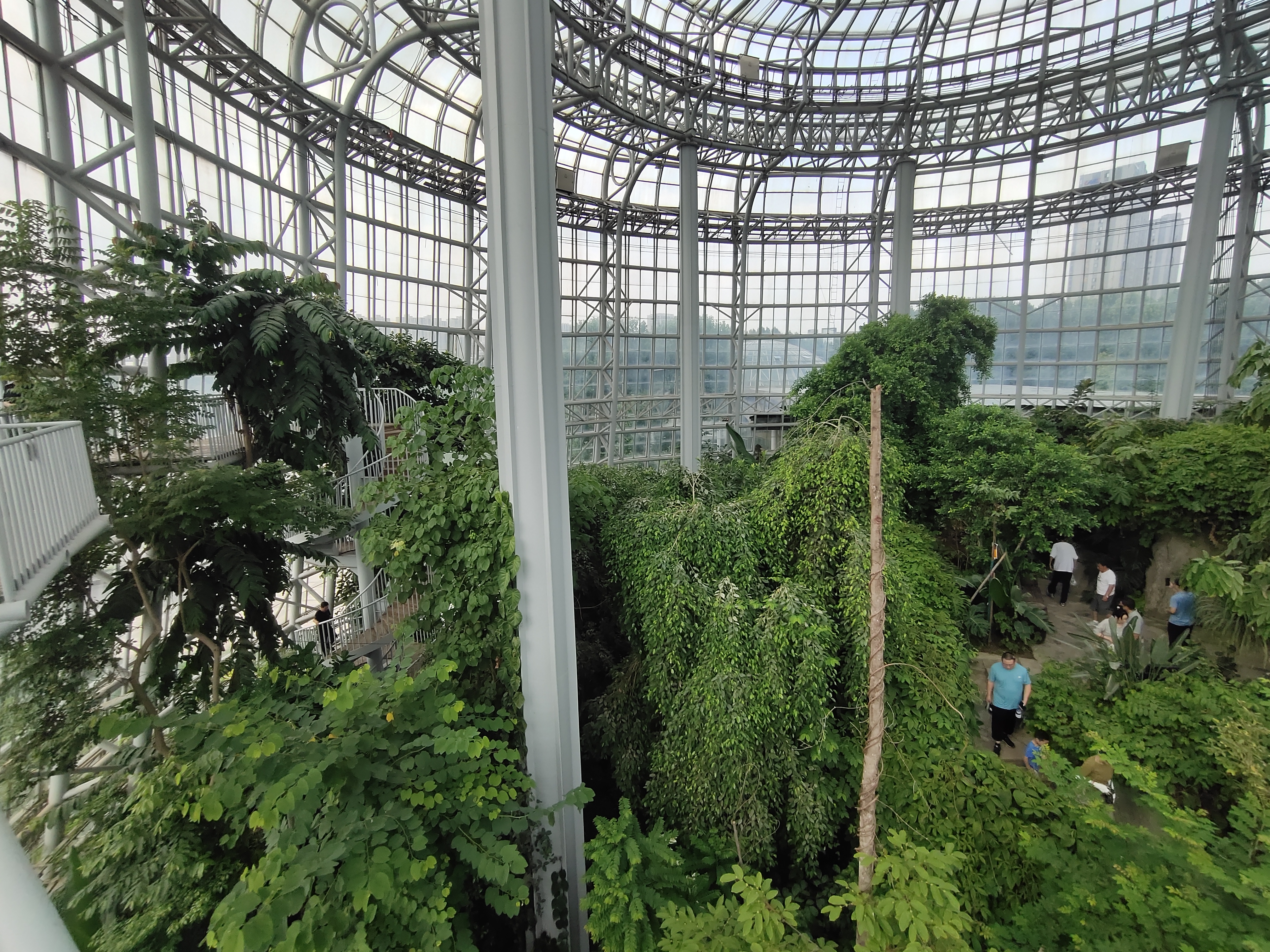 郑州植物园热带雨林游玩攻略