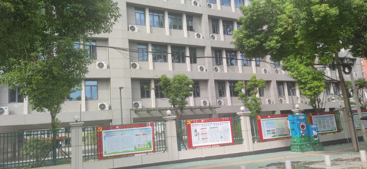 蔡甸五中的同学们