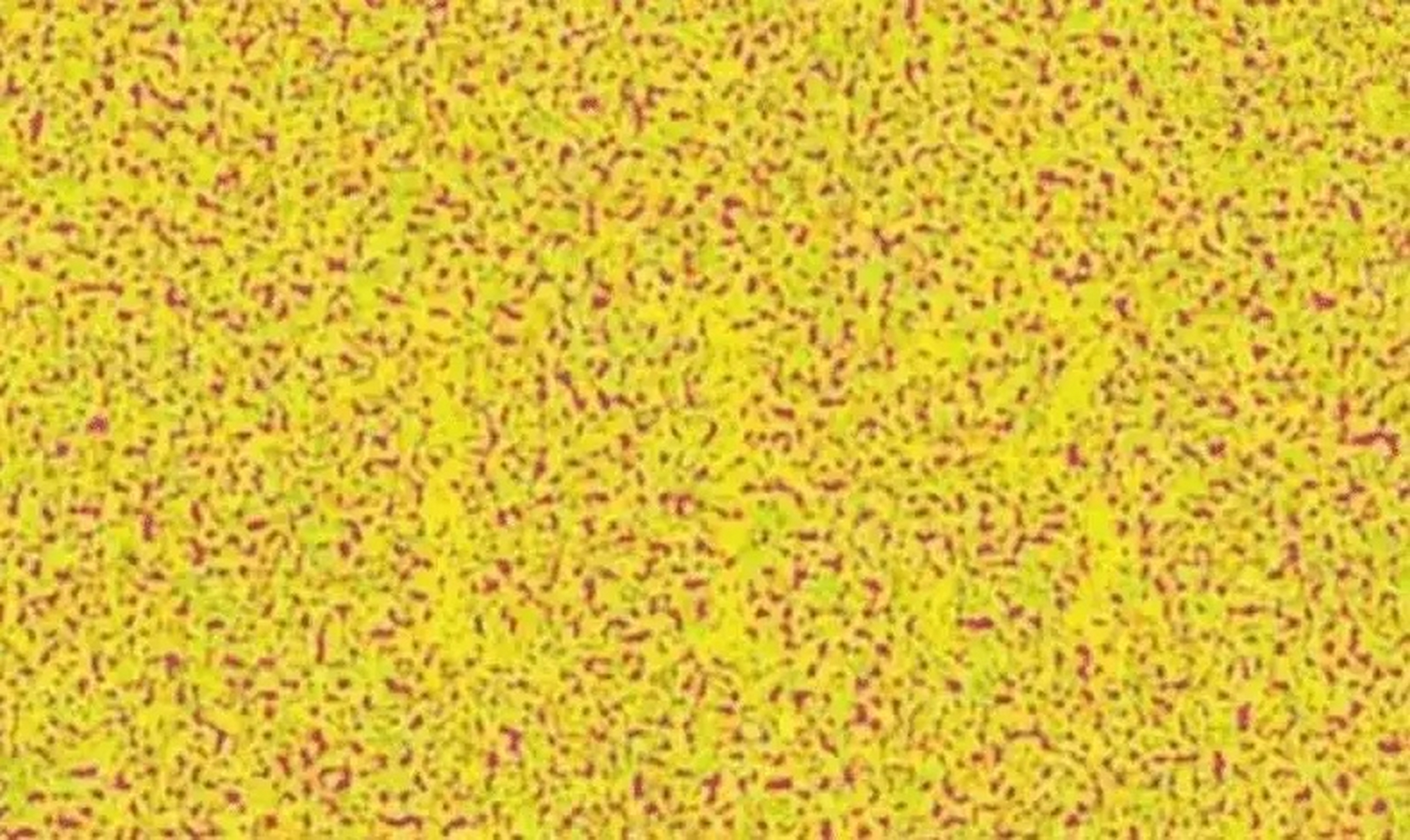 飞行员色盲色弱测试… 你能看出来是什么数字吗?