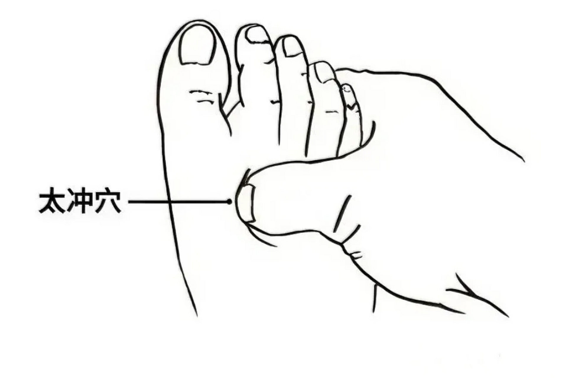1,肝火:太冲穴(疏肝清热) 2,心火:劳宫穴(清心泄热) 3,胃火:内庭穴
