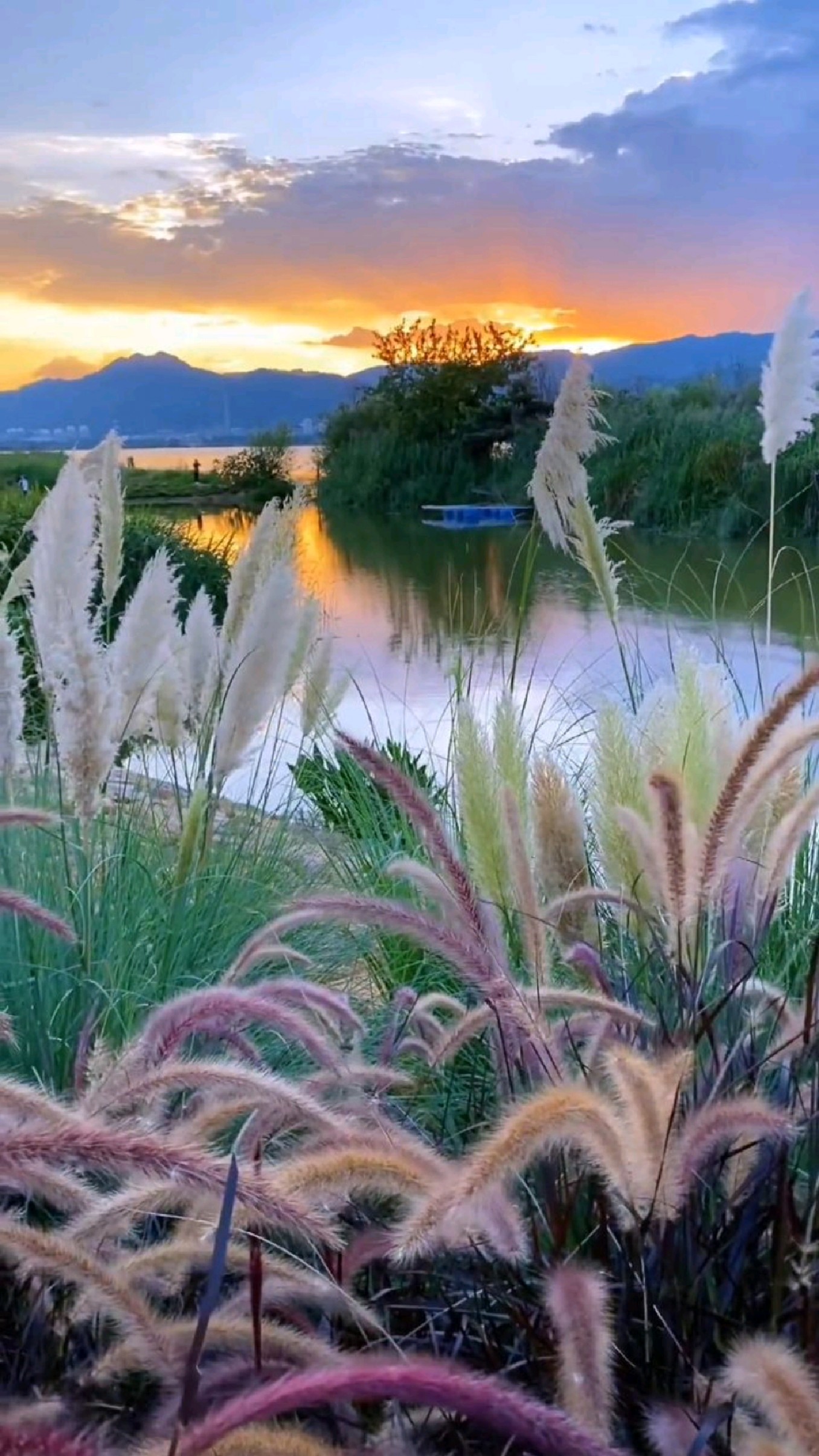 昆明市,草海湿地公园