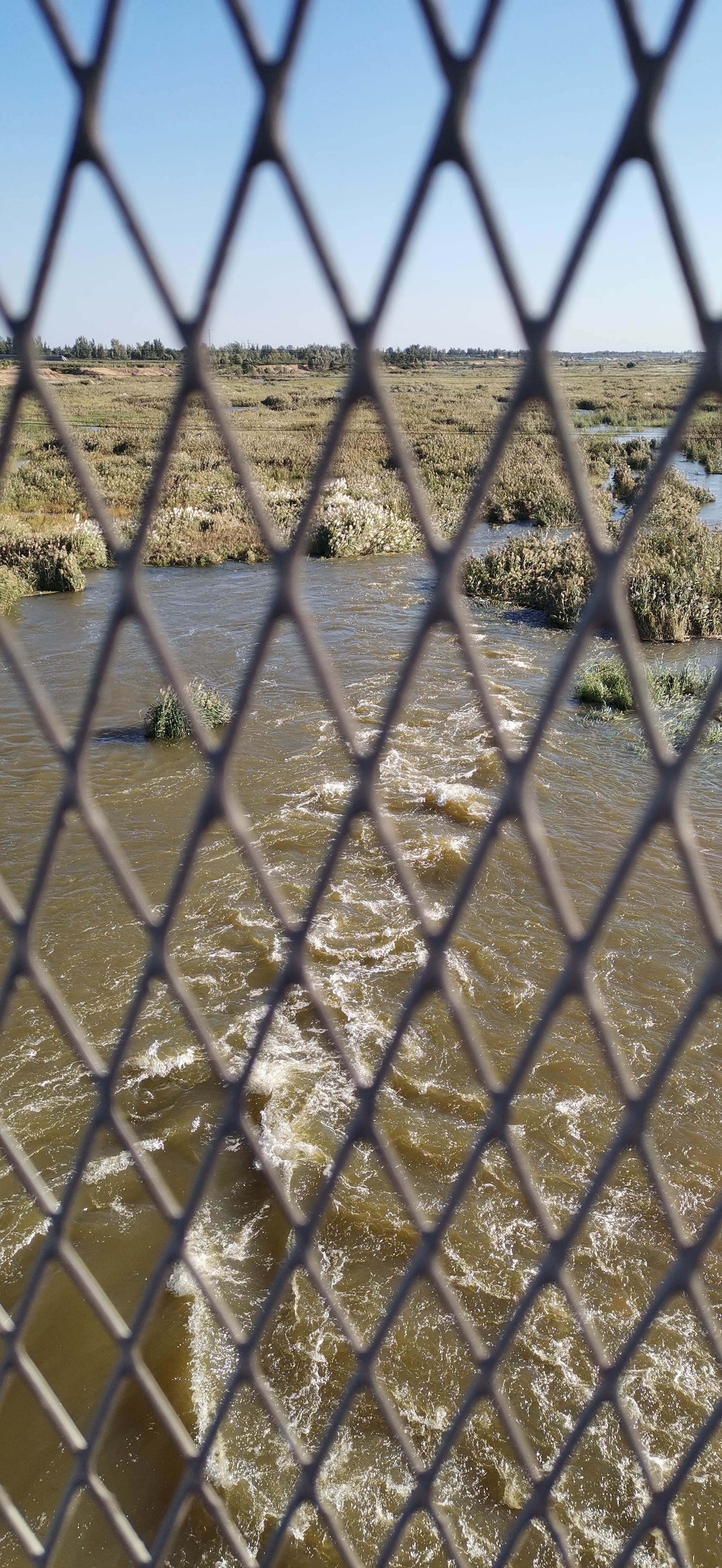 莱西市产芝水库,月湖公园,月湖步行街