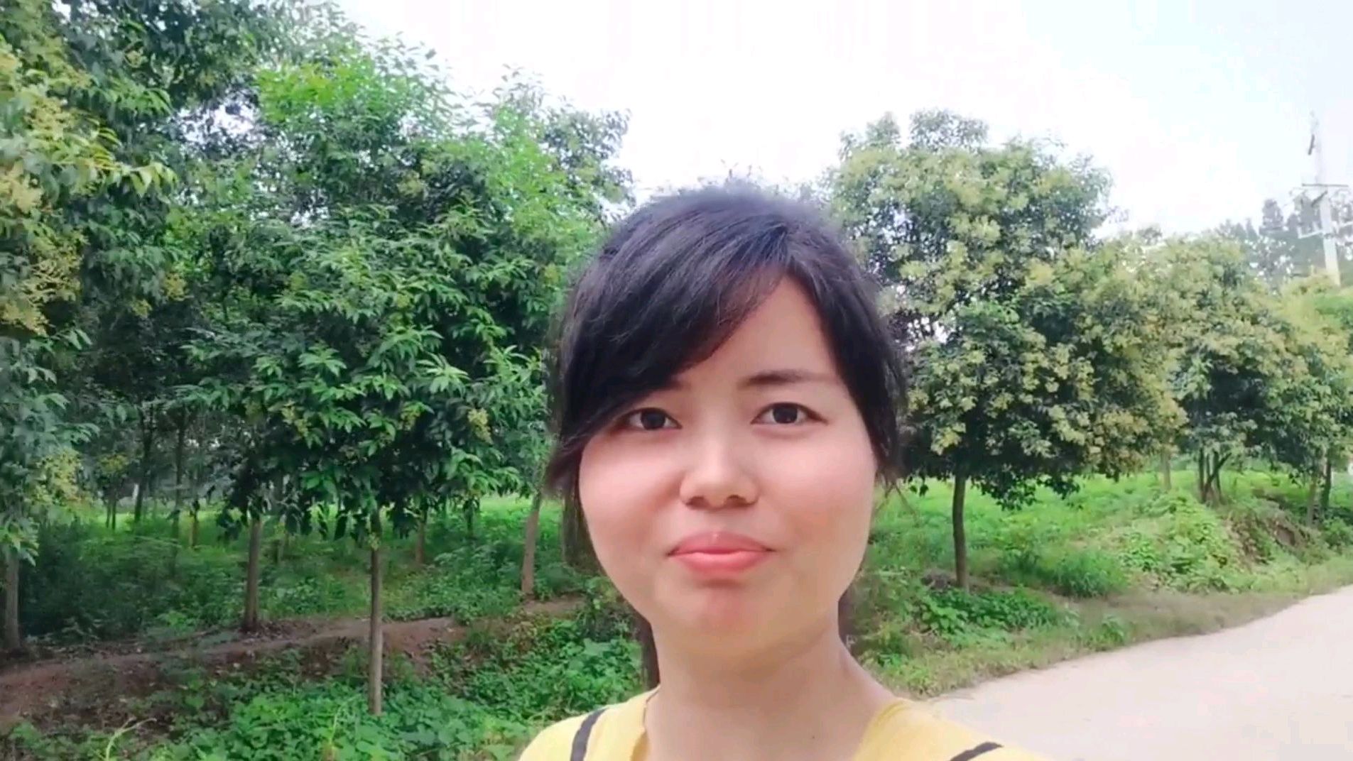 河南农村办酒席,一家去三口人吃饭看看随多少礼?吃的太撑了