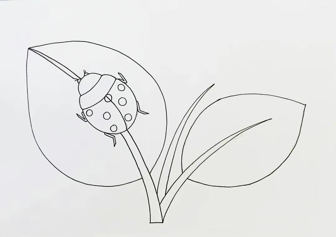 原创黑白线描画《叶子和瓢虫》