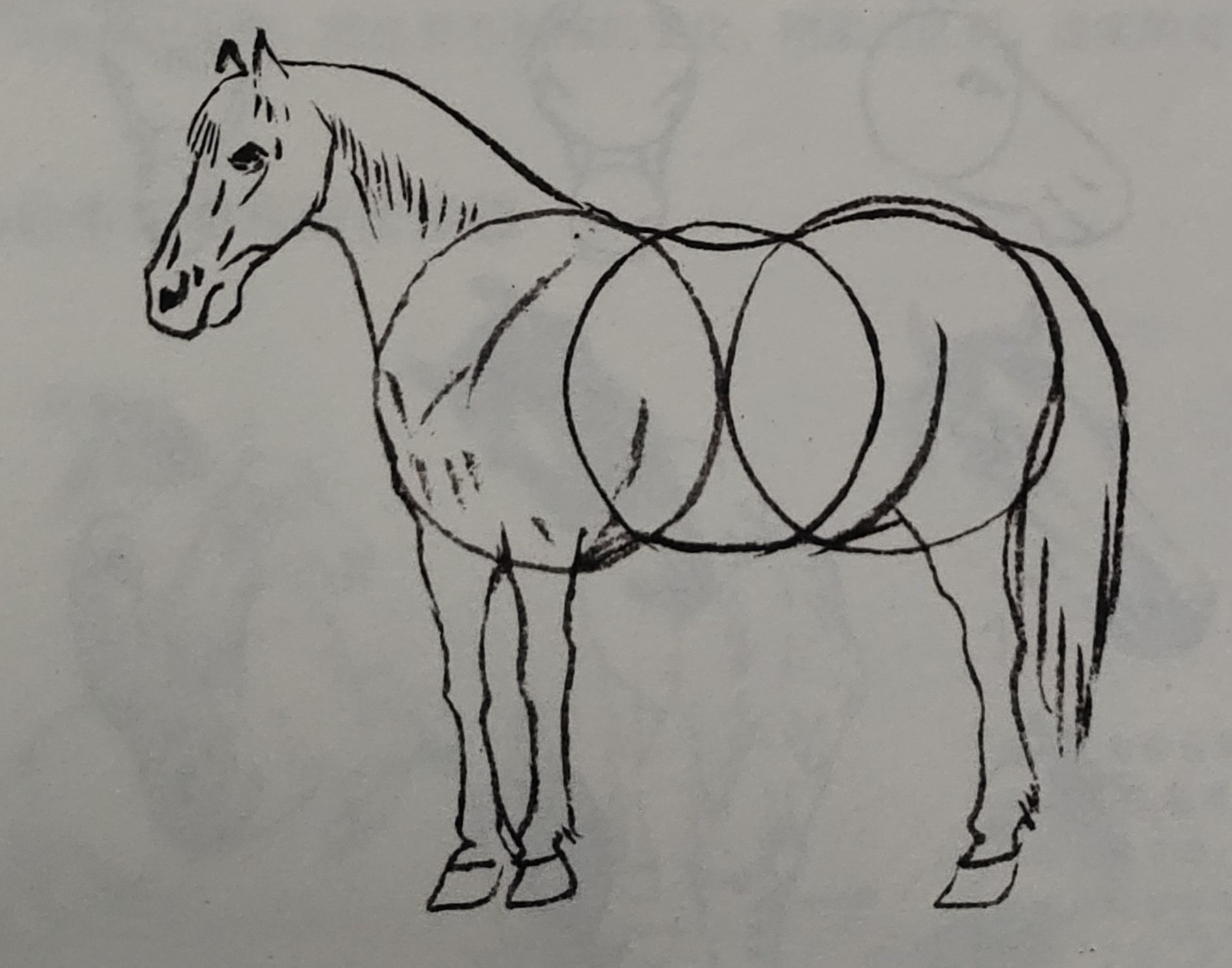 杨普义:怎样画马