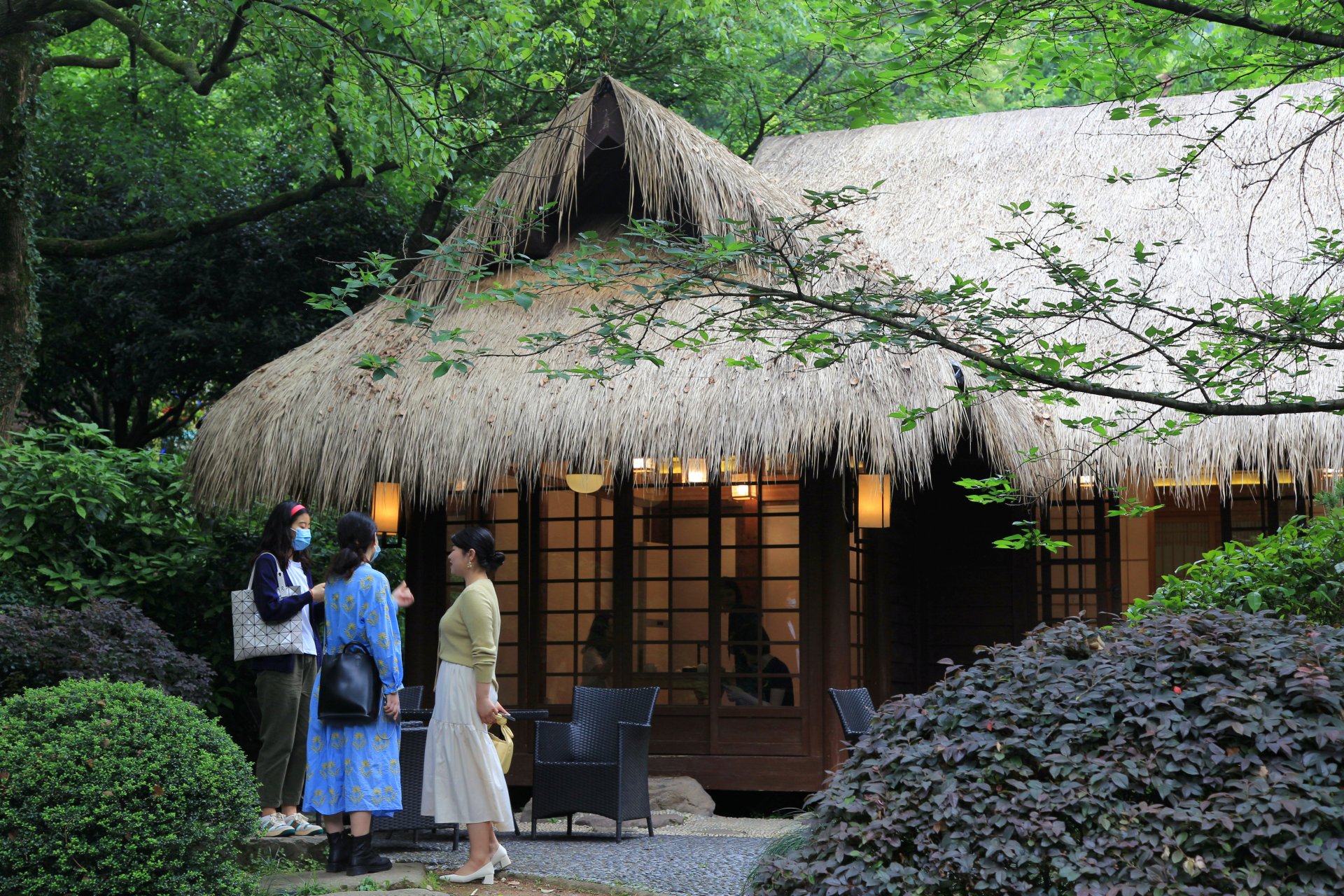 五月风景,打卡杭州茶叶博物馆双峰馆  中国茶叶博物馆双峰馆,位于杭州