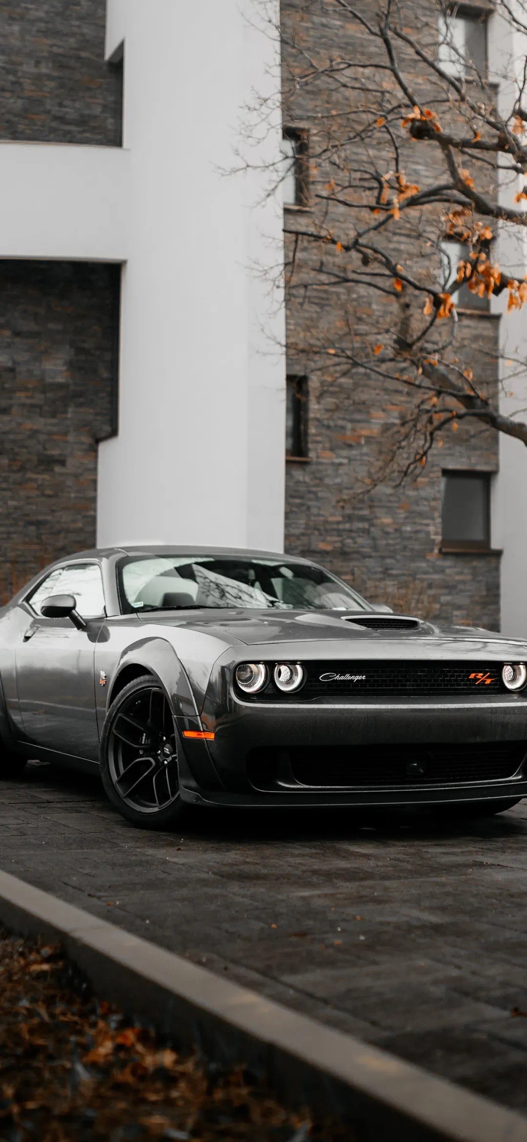 酷车一族,有你想要的嘛