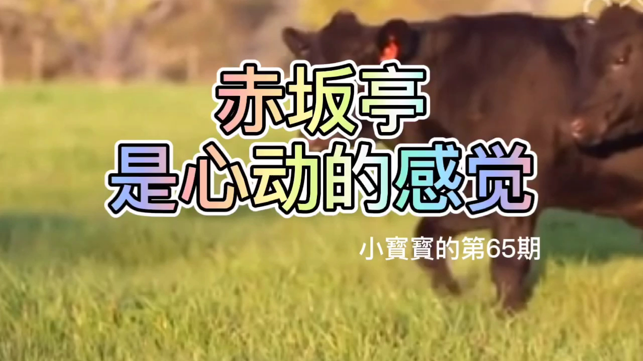 赤坂亭是心动的感觉
