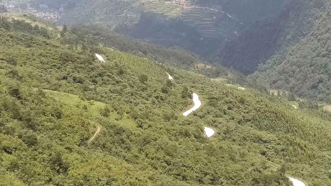 大雨过后的早晨,小菜园里的茄子辣椒疯长,土豆也快要收获了