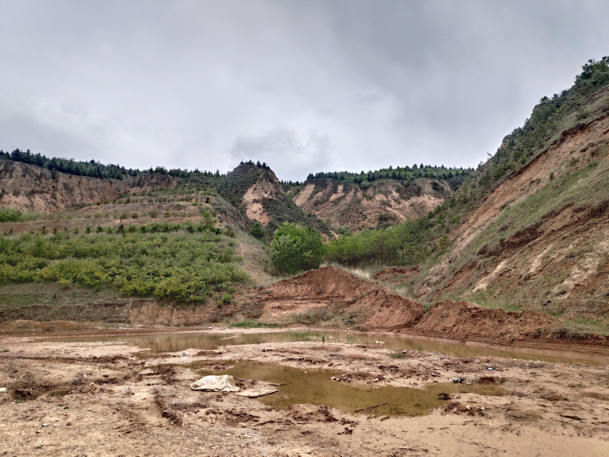 宁夏固原市黄土高原现状,山上都是绿色的植被