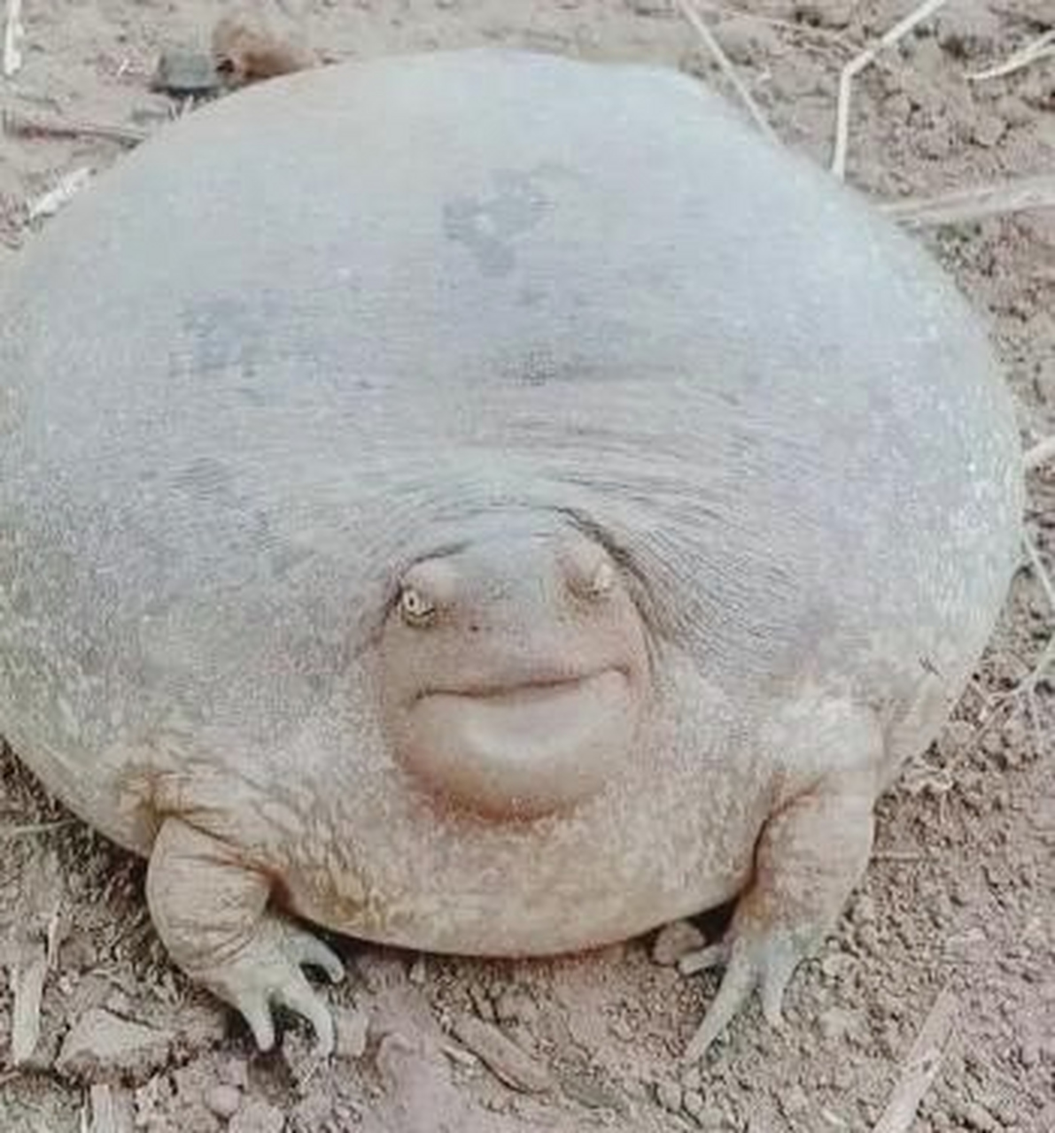 趣图搞笑
