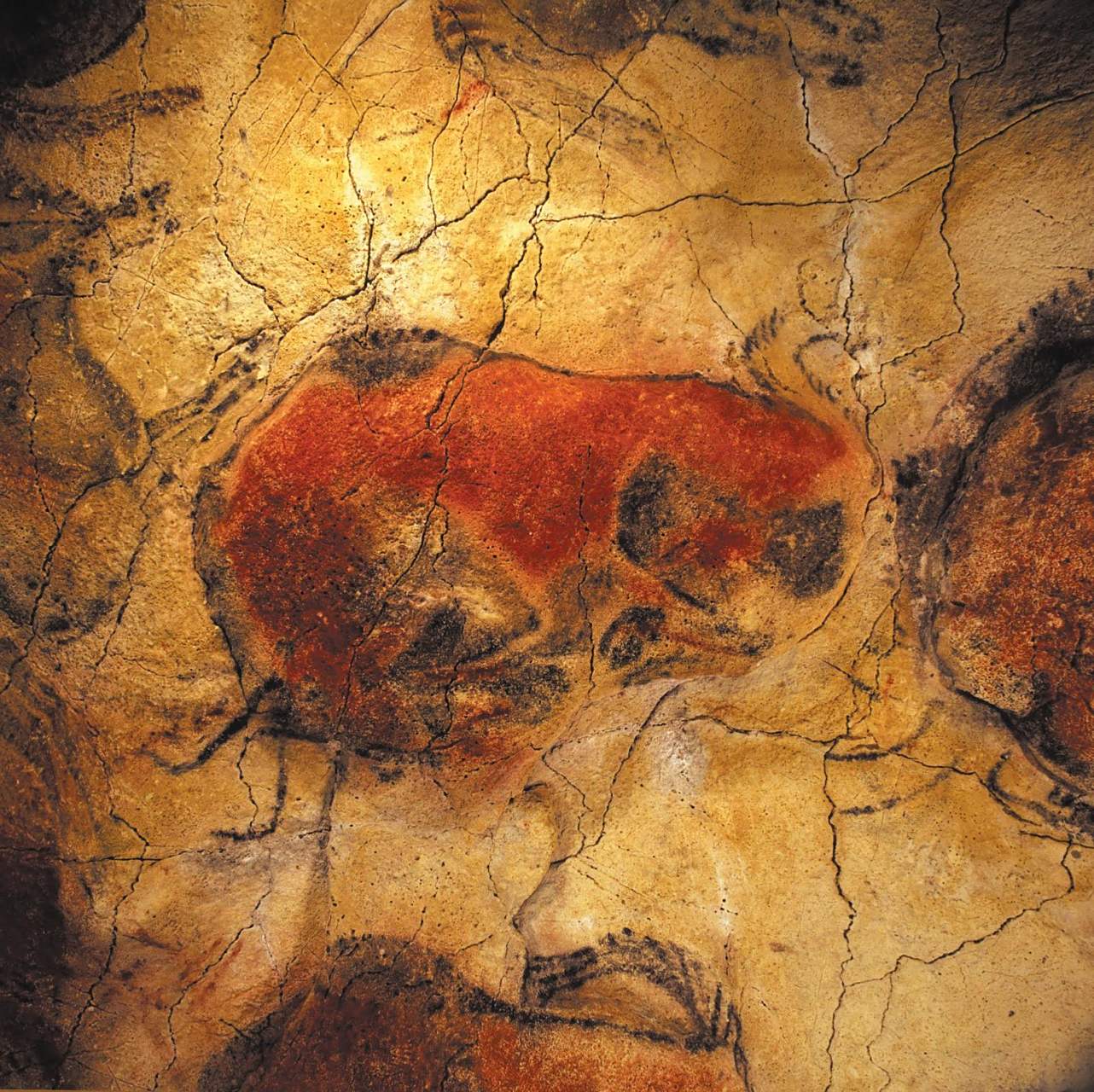 野牛图 bisonte de amira 〔西班牙〕马格德林人 一万七千年至一万