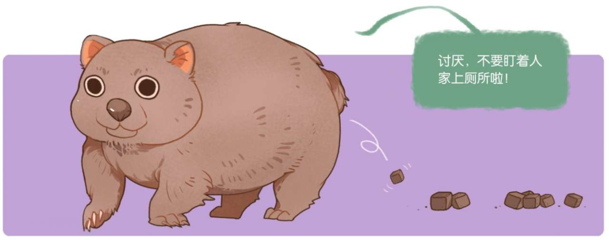 袋熊的粪便是方形的