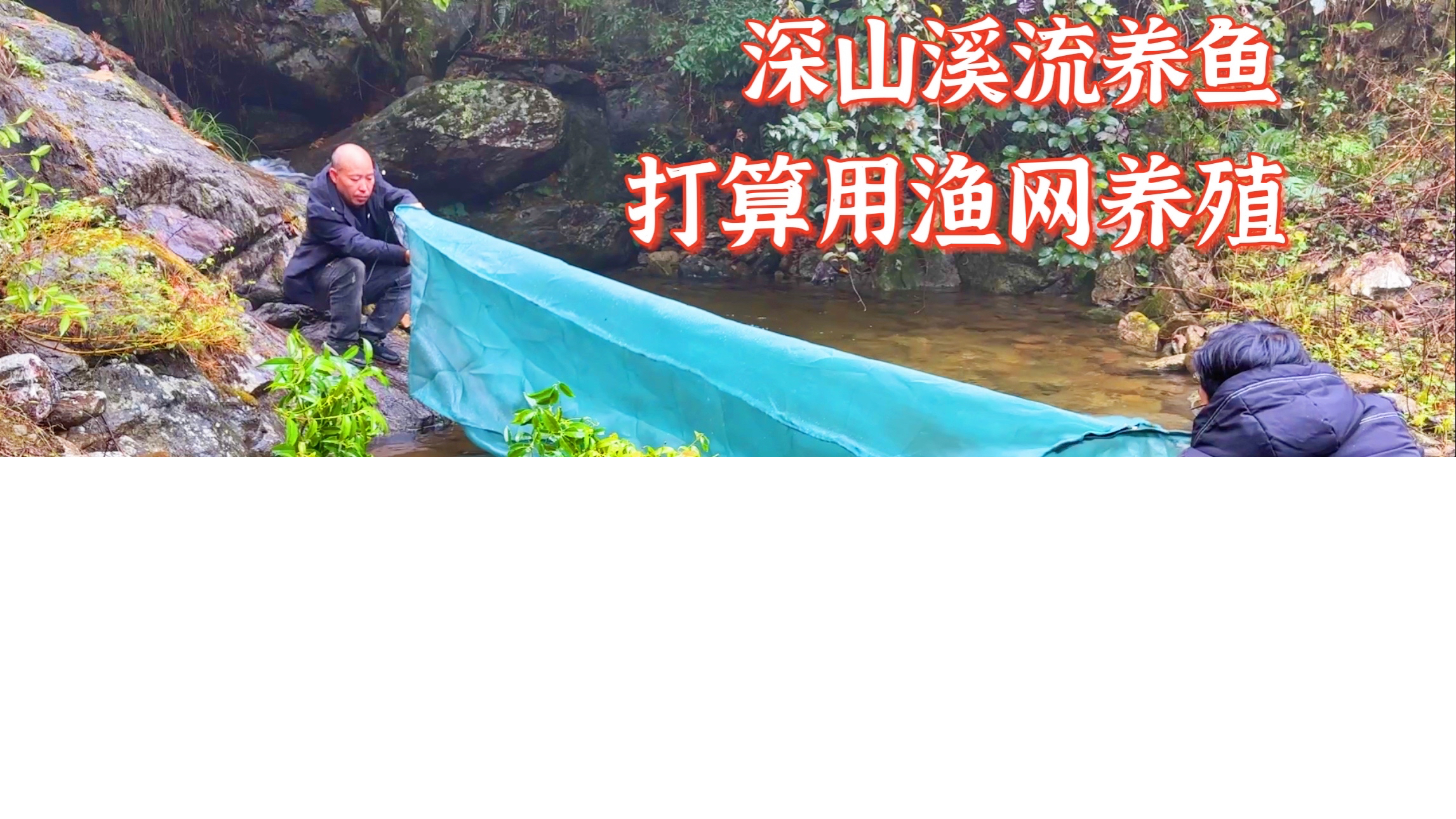 深山溪流养鱼第18天,继续投放黄尾鲴和丁桂鱼。尝试用渔网养殖