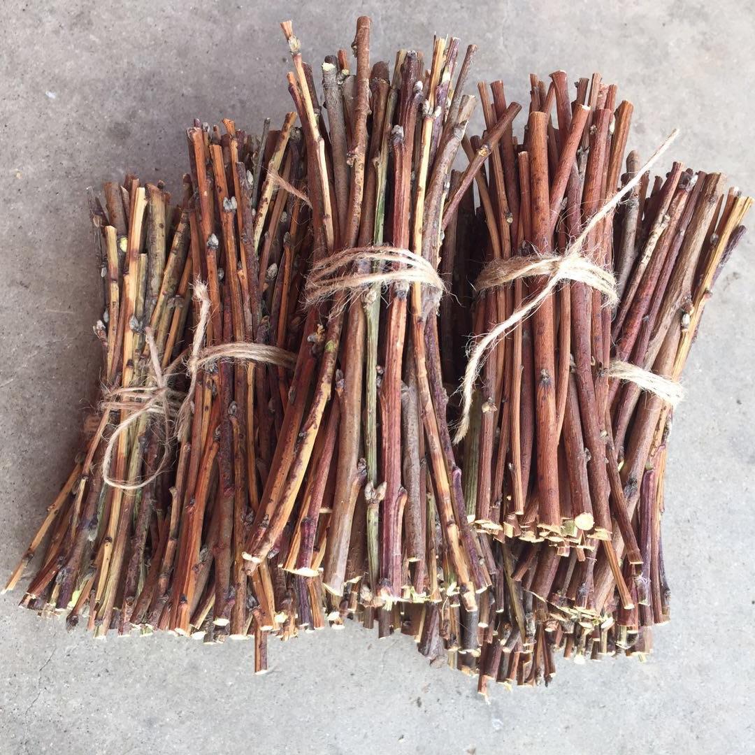 农村桃树枝又称"神仙木",它有很多用处,别在当柴火烧了