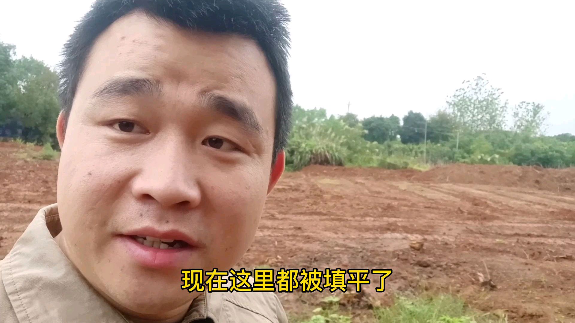 探访一家土鸡养殖场,结果白跑一趟,发生了什么?