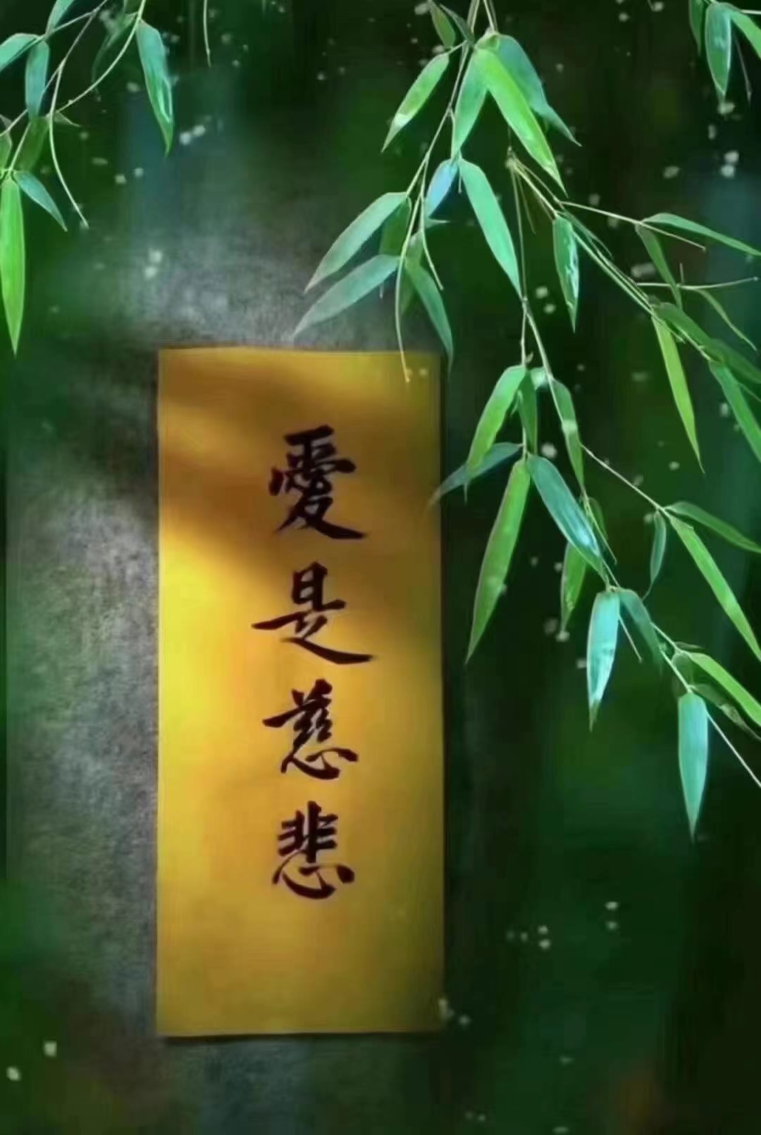 应该把慈悲心时时刻刻刻在自己的额头上面,记在自己的心里,时时刻刻