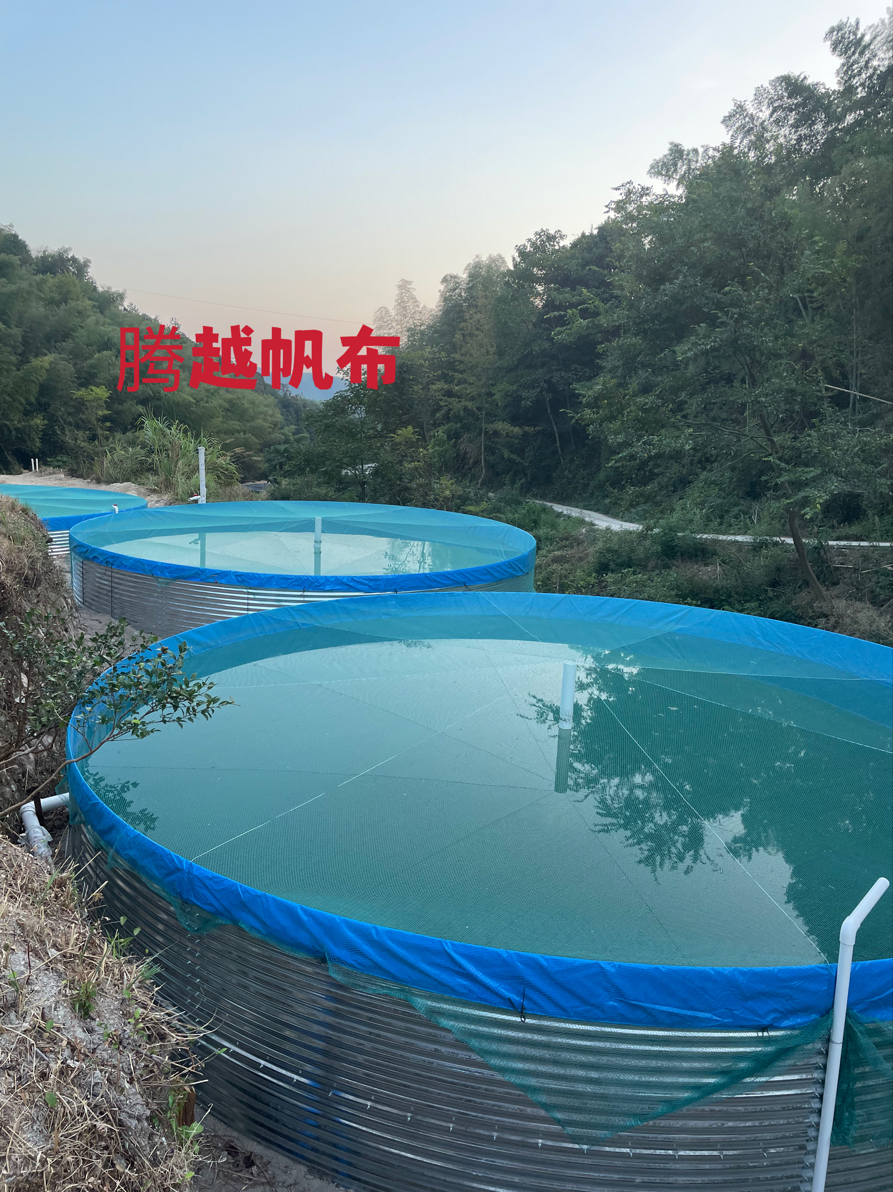 帆布鱼池需要解决哪些基本问题