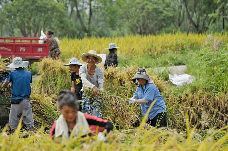 农民最苦