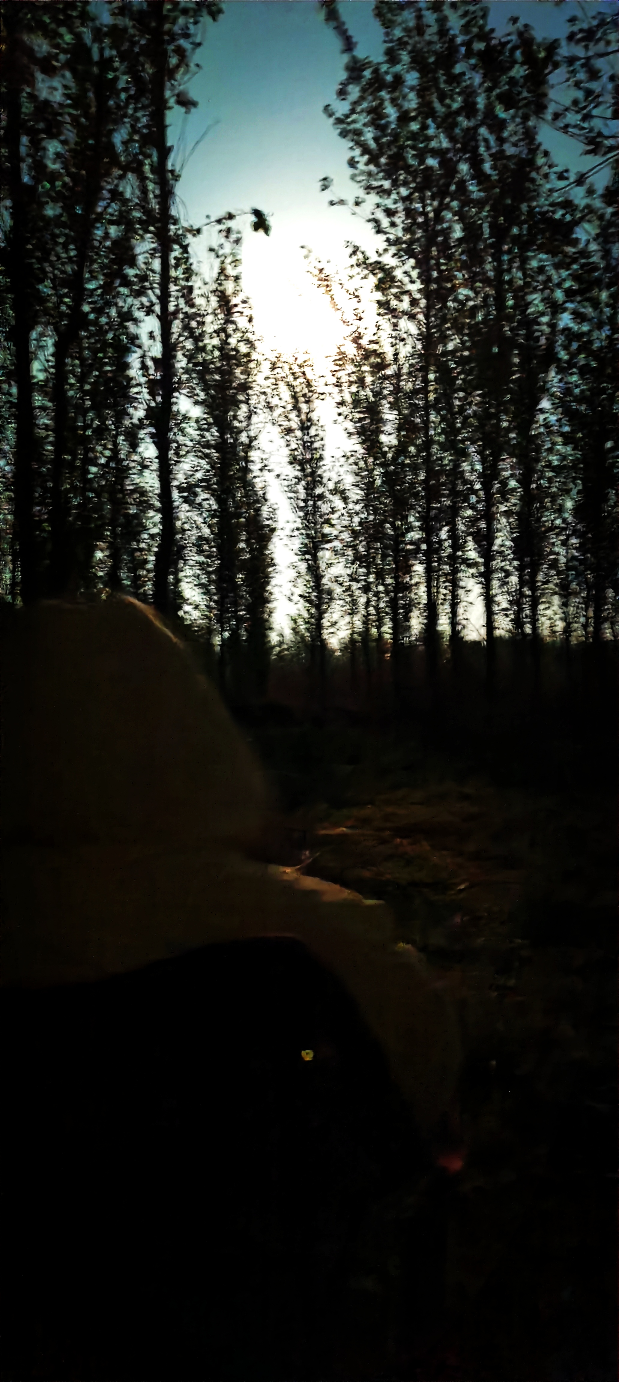 露营叉叉视频网站_叉叉forky