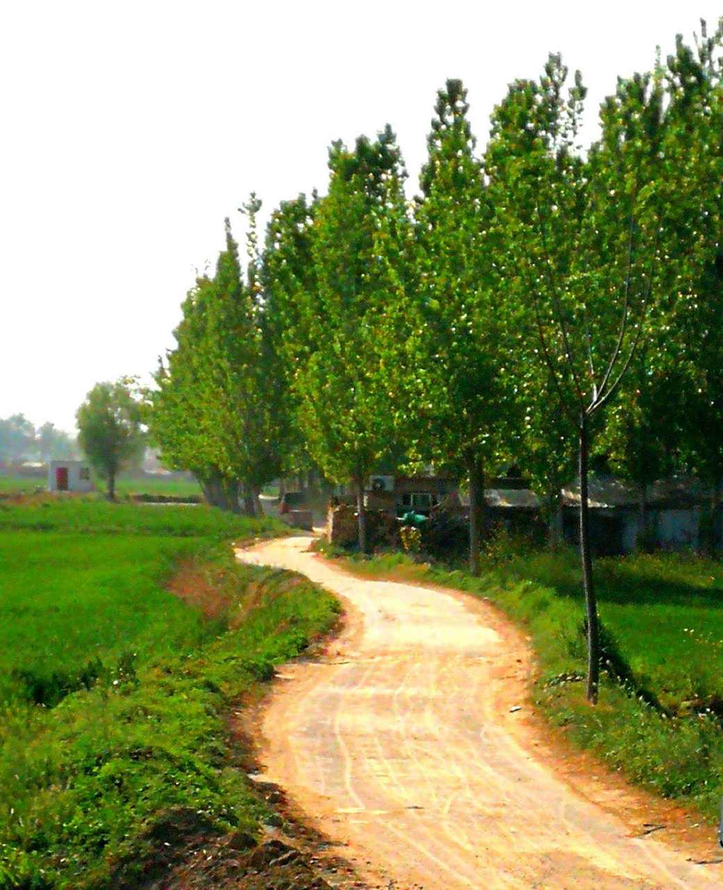 我与姐姐诉衷肠 [微风][微风] 二姐: 故乡的小路悠长,早已变成了遥远