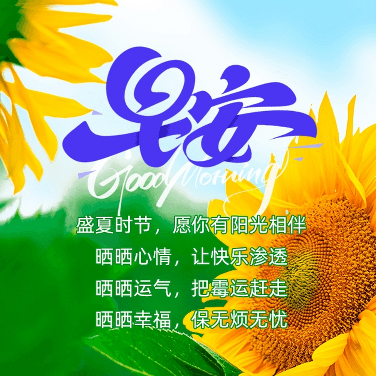 早安,新的一天91冬有三九,夏有三伏;你有问候,我有祝福.