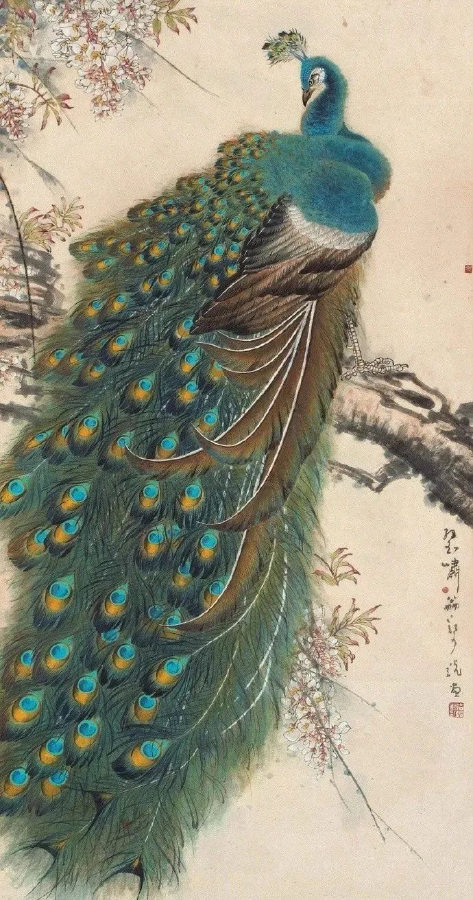 郑乃珖的孔雀图:超级好看!