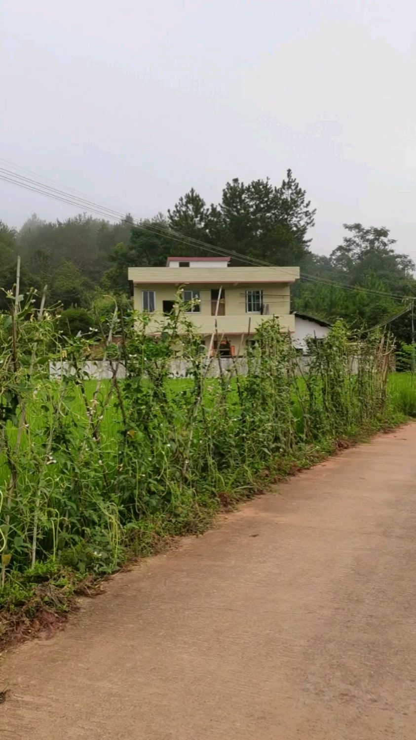 乐昌山区农村,我的老家