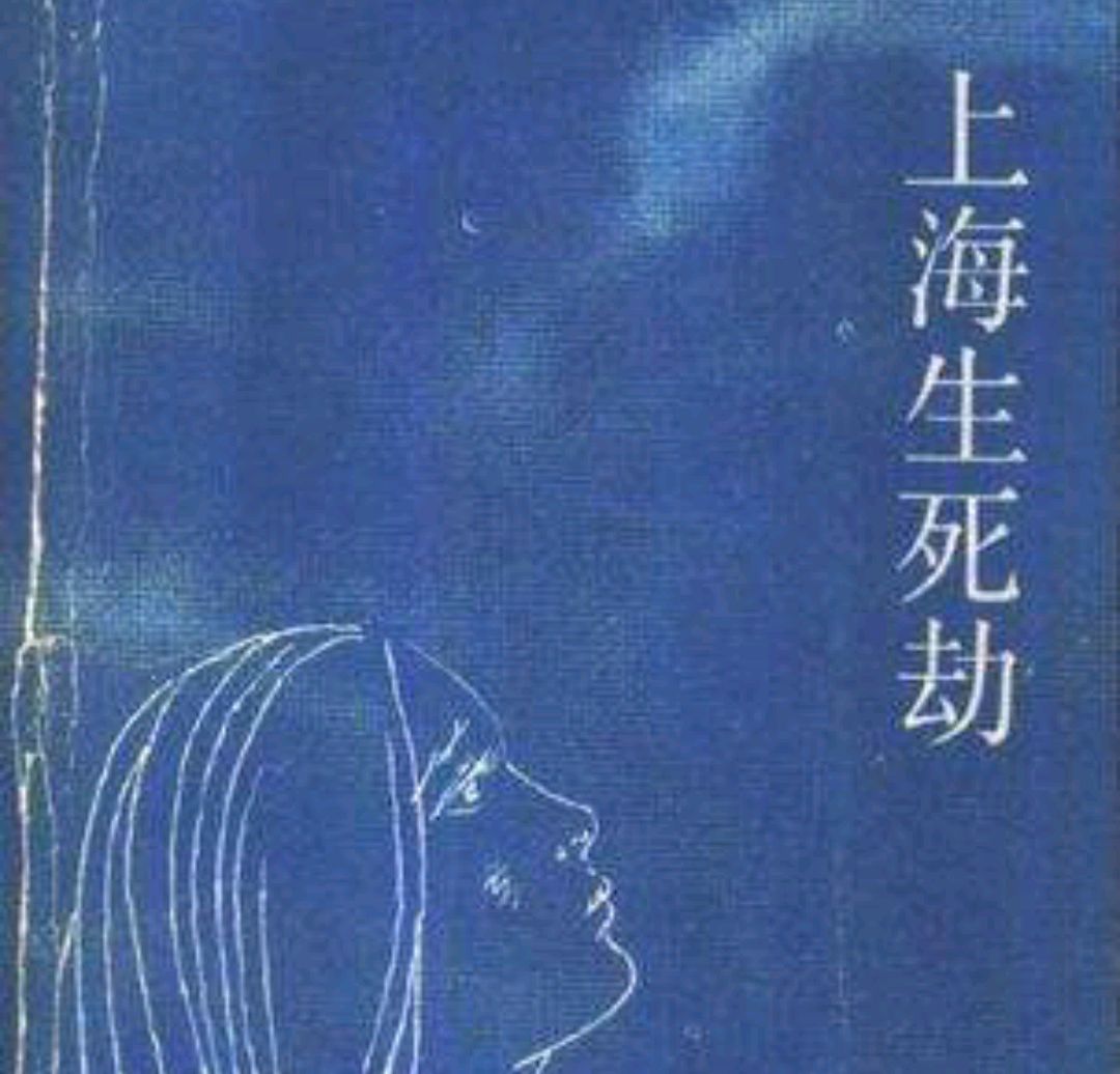 《上海生死劫》一位坚强女子的血泪史!