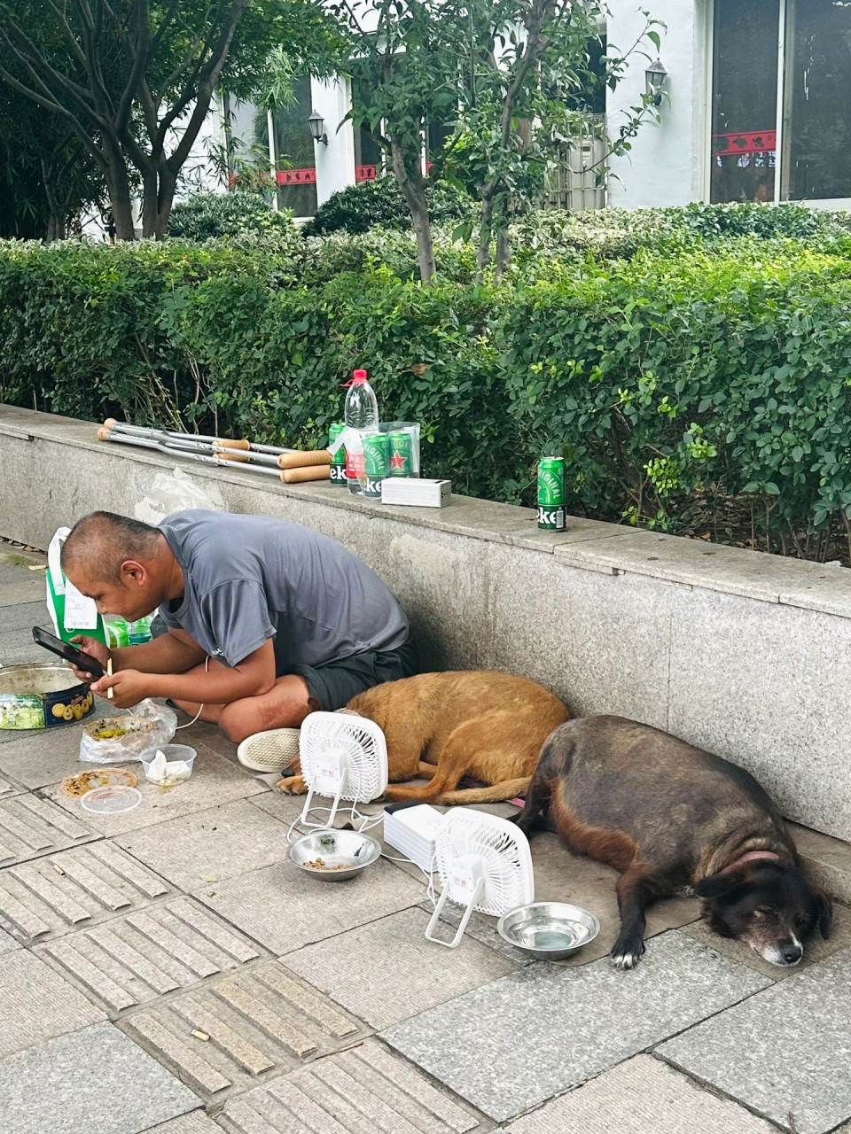 很喜欢那句话,我虽然是流浪汉,但我的狗不是流浪狗,黑狗那么胖,平时