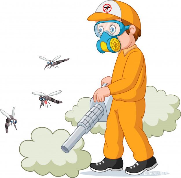 如何消灭蚊子?