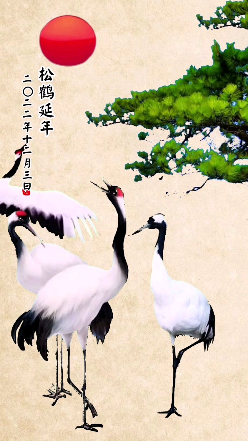 来看看会动的国画