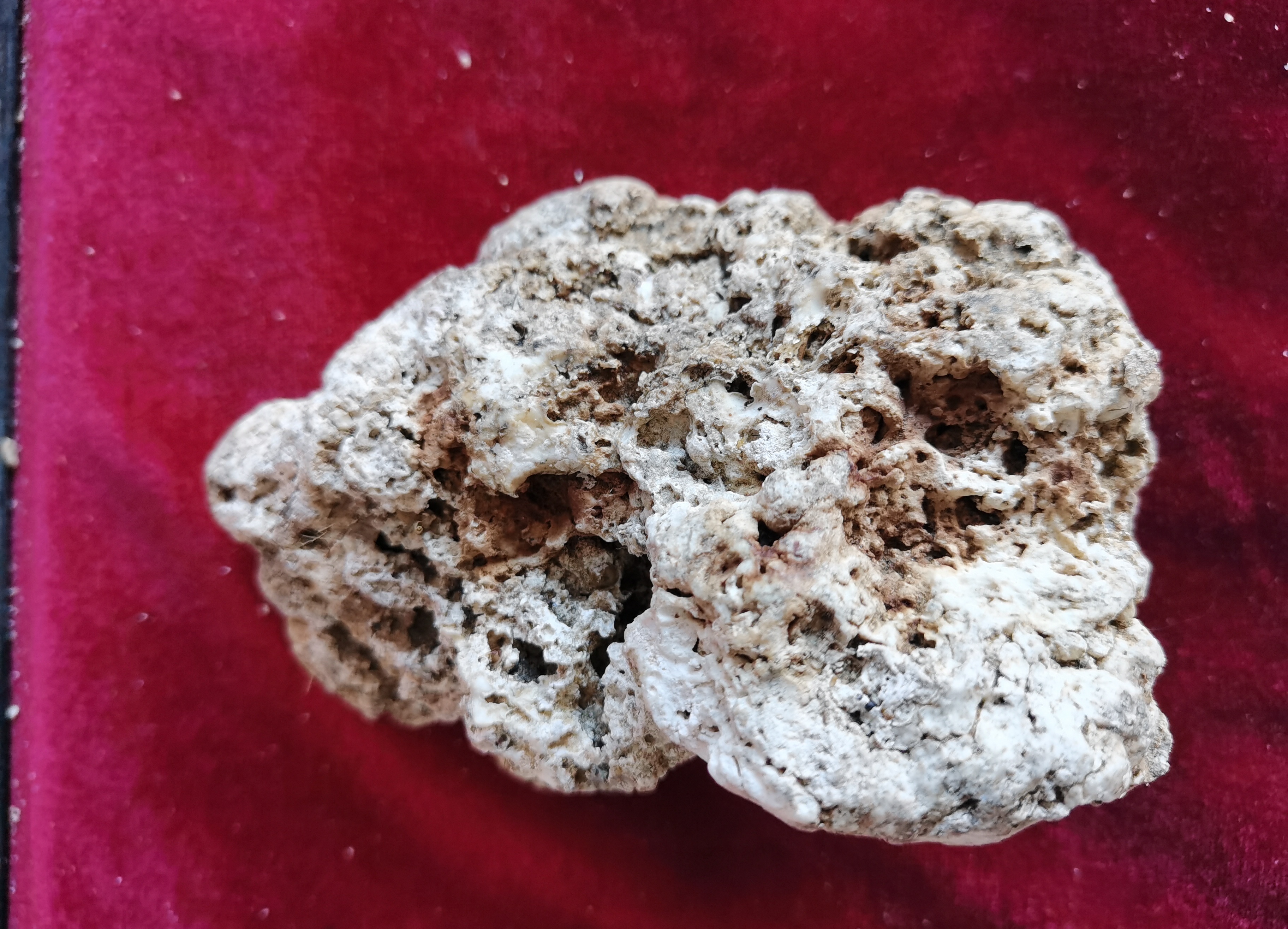 汕头新闻重要报道:南澳岛民拾到名贵香料"龙涎香"!