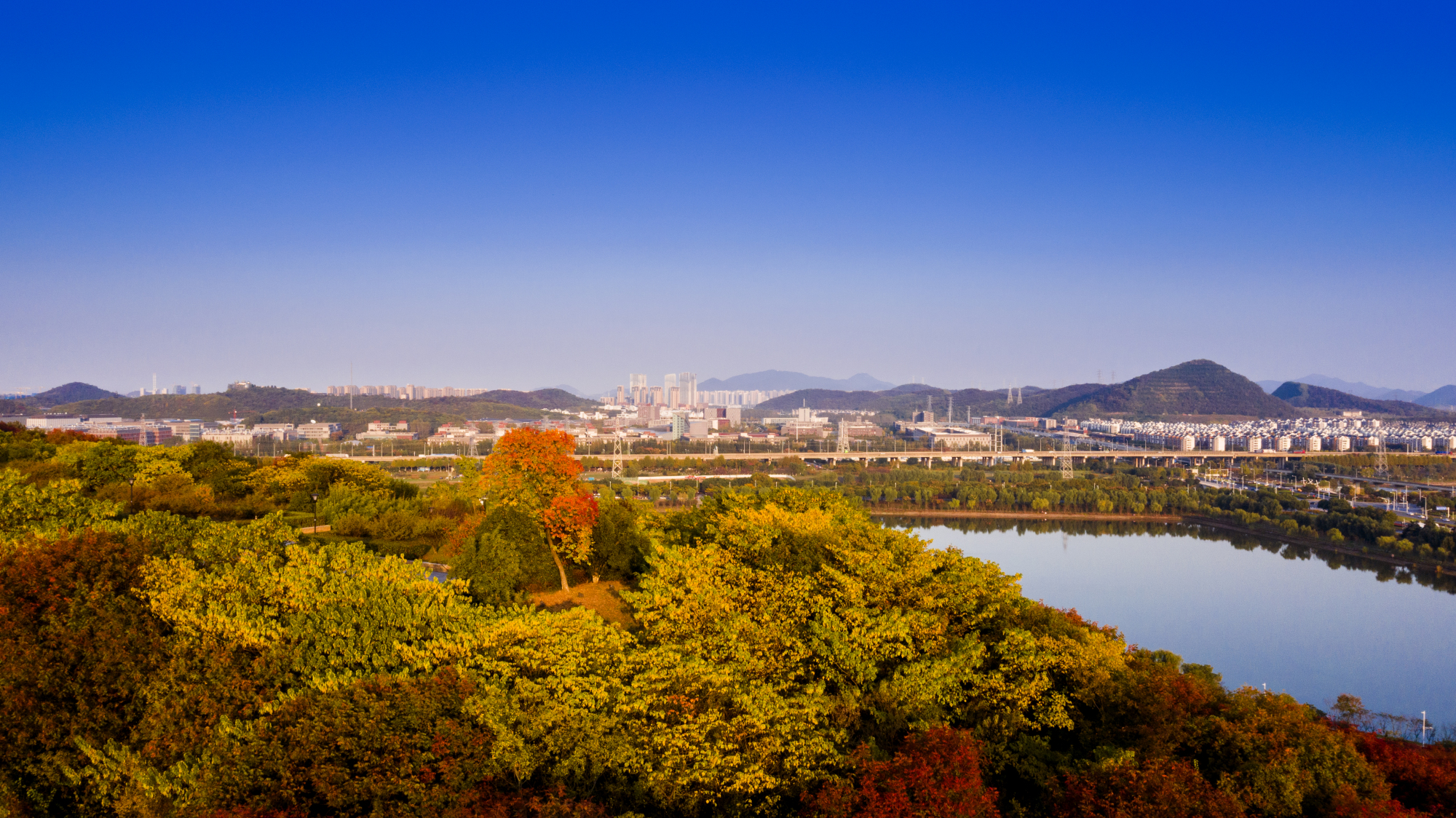 南京最姜的季节,在这个充满诗情画意的季节里羊山公园描绘自然美