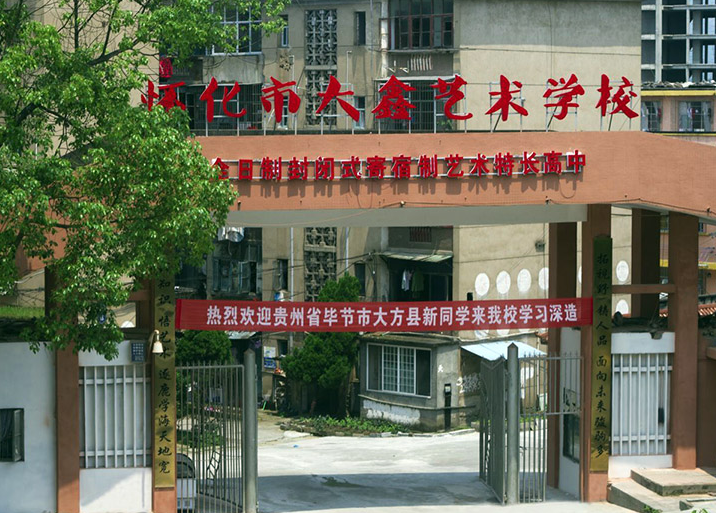 怀化市大鑫艺术职业学校好不好?