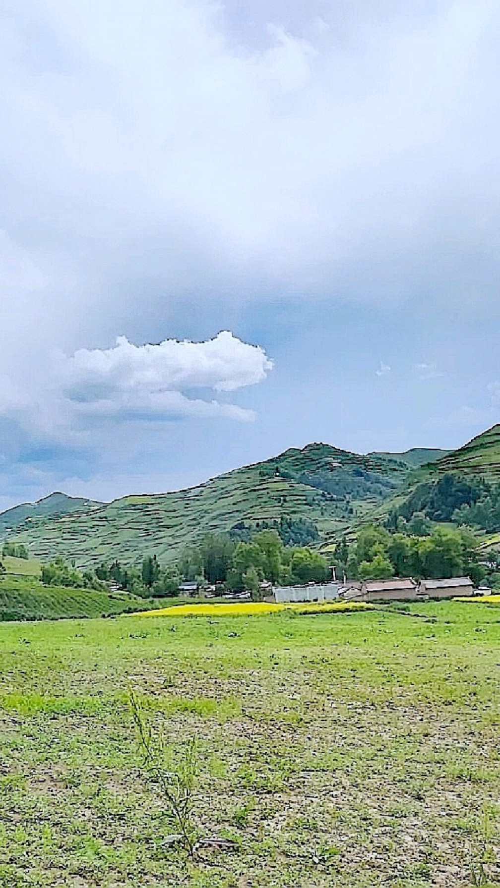 甘肃天水牧马滩据说是秦始皇先祖赢非子牧马之地你来过吗