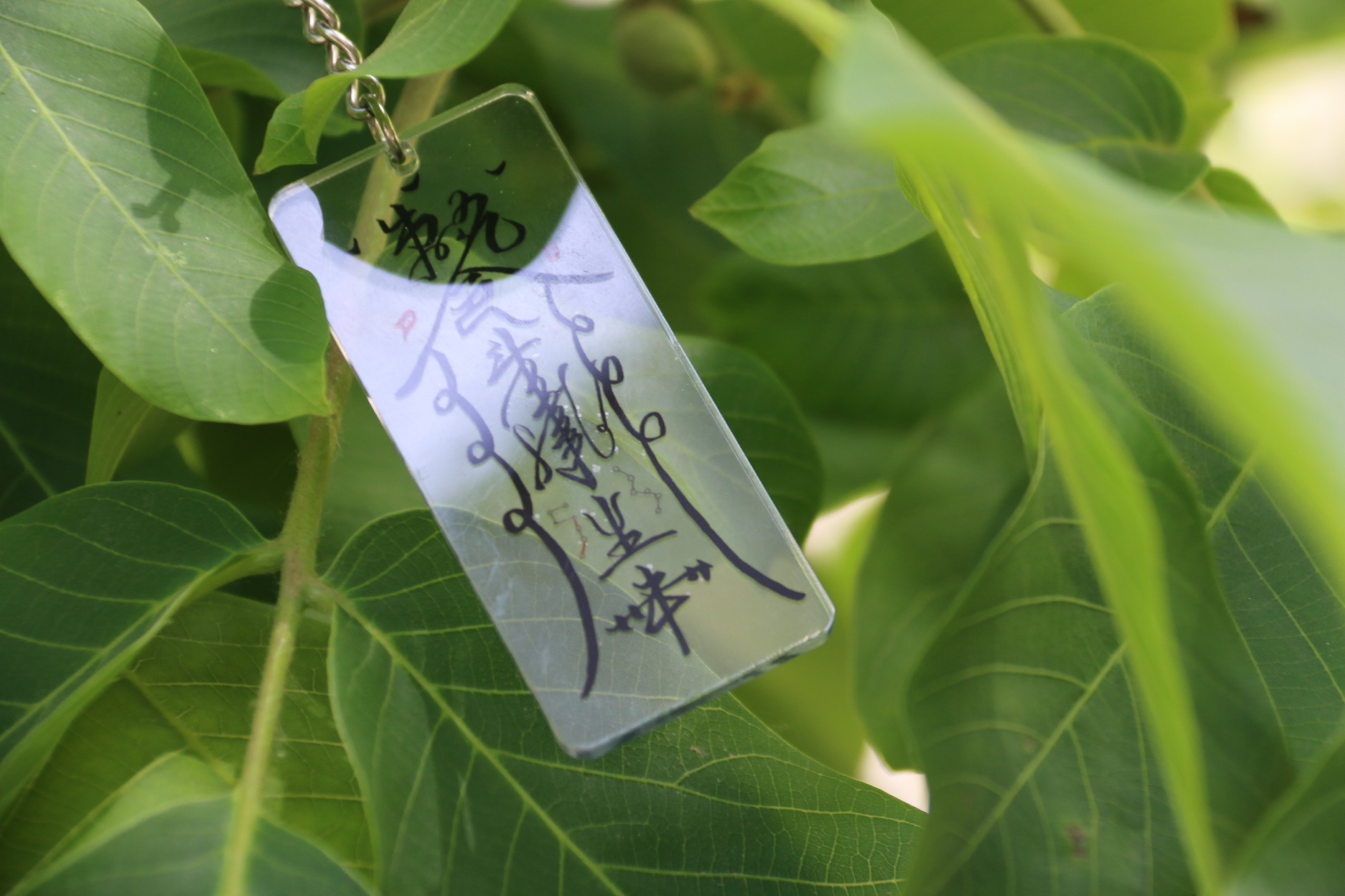 太爱这张壁纸了!