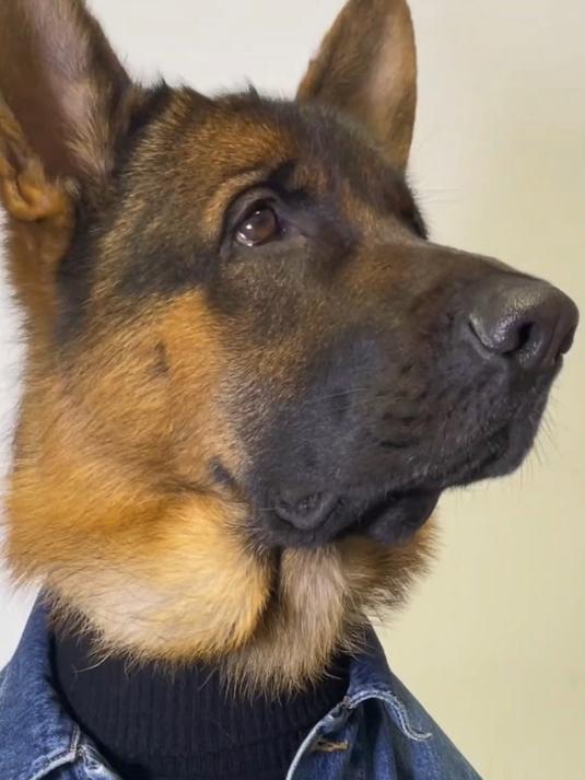 飞虎:来个wink 一定要接住