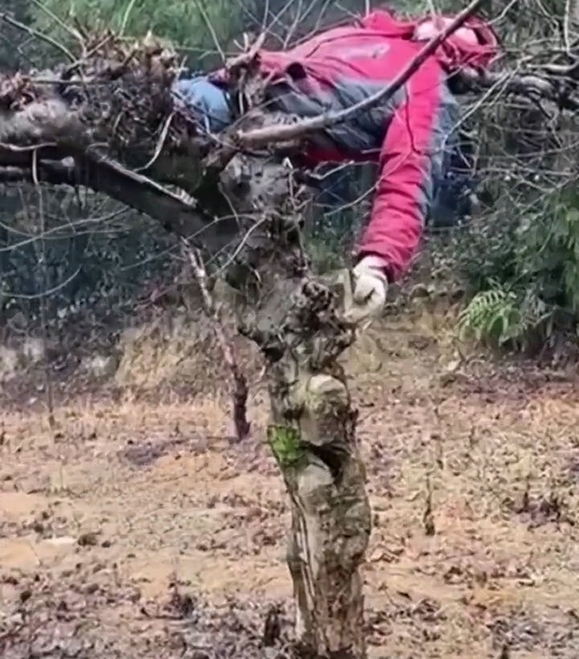 大型社死现场,喝醉酒被全村围观.
