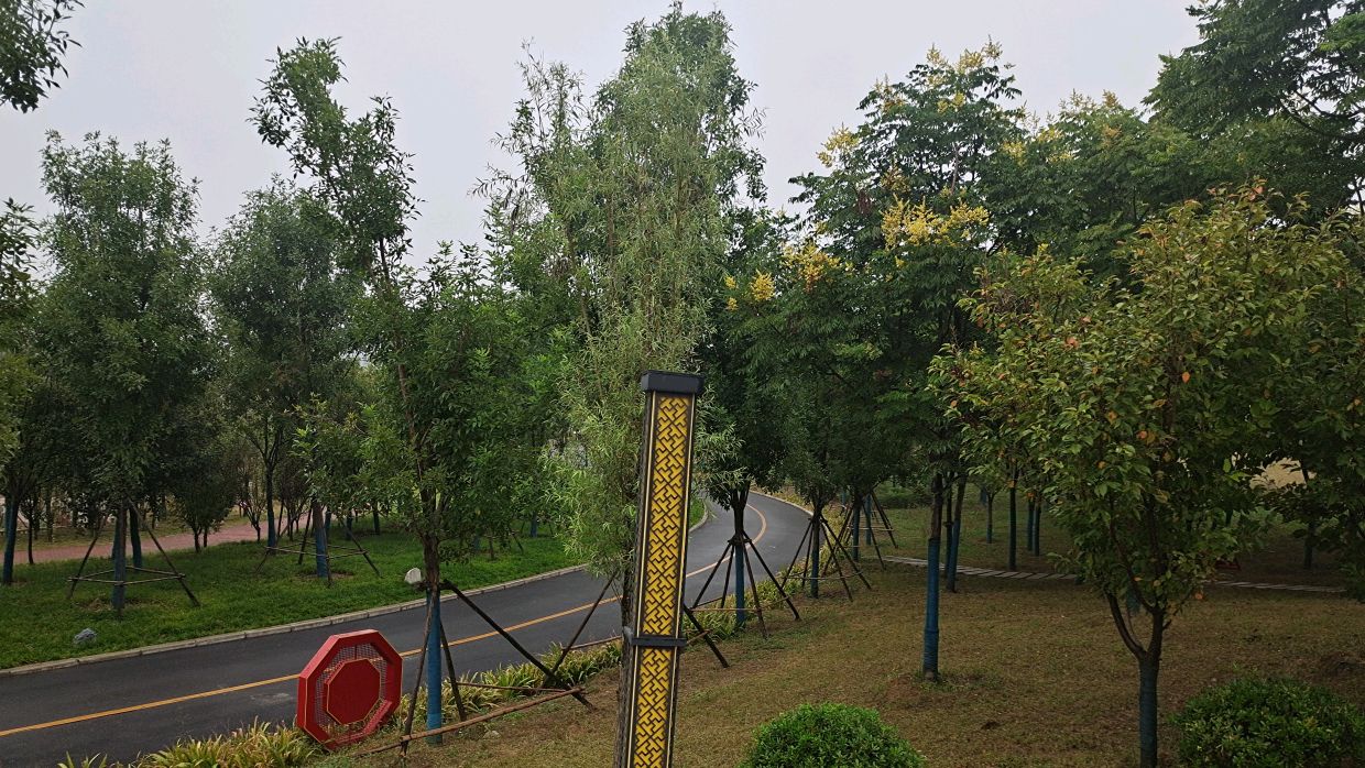 纪事:雨中游方城龙泉公园