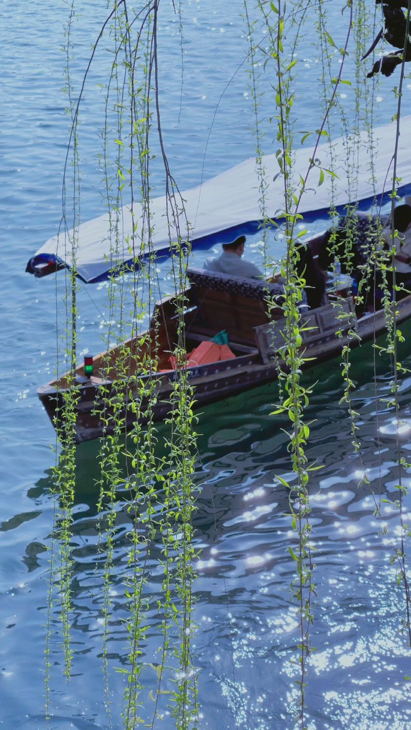 西湖美景三月天,拂堤杨柳醉春烟